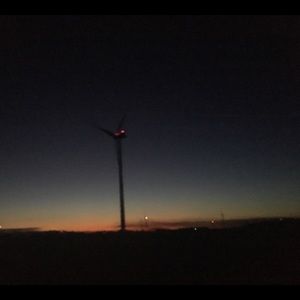 Meet your Posher, Izzy